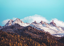 国产一级视频sm,探索激情与梦想的视觉盛宴